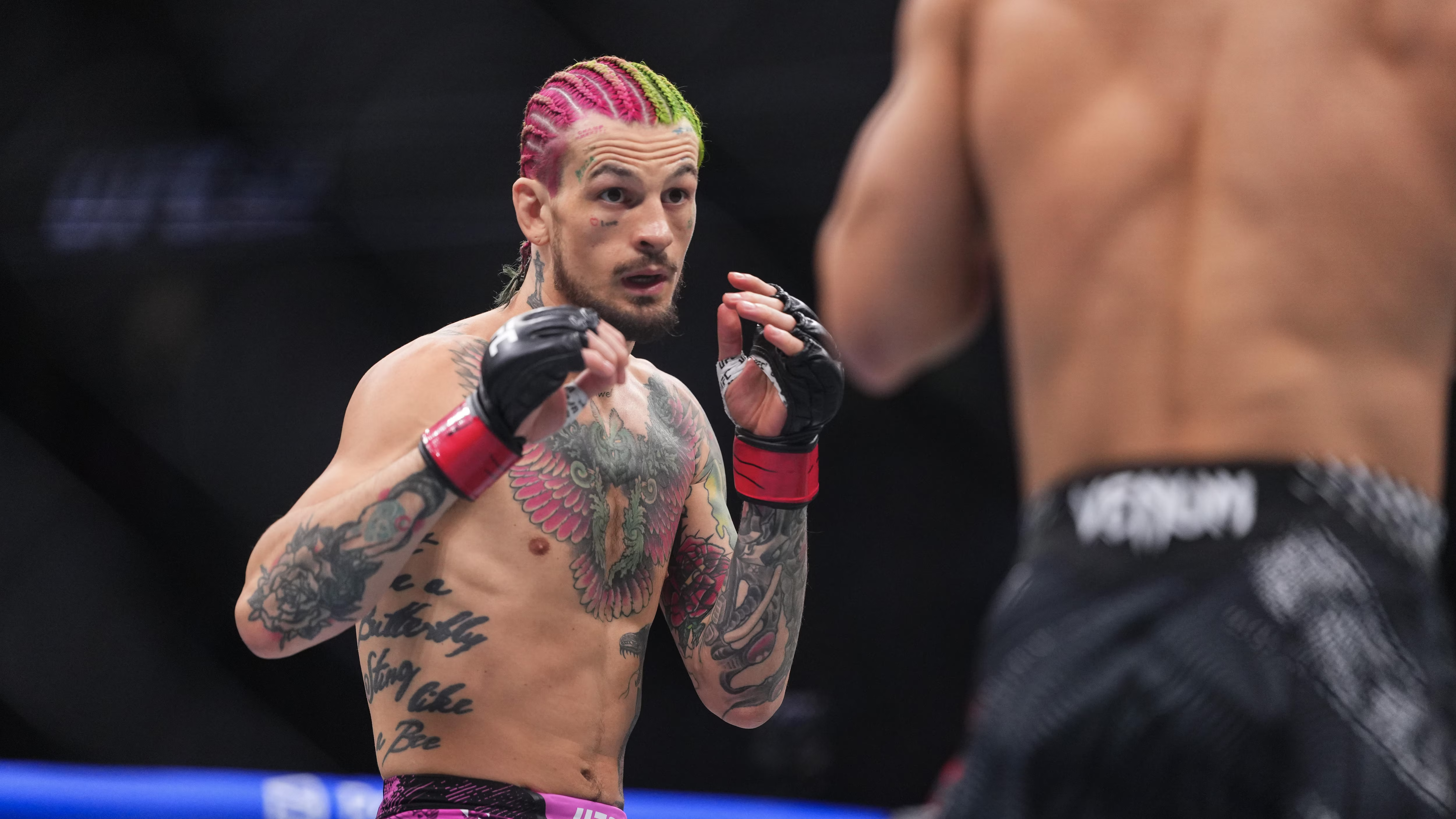 SEAN O’MALLEY BESIEGT SONG YADONG – UFC 324